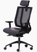 Presidential Chairs